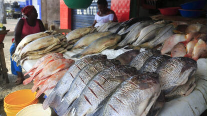 Pescados Semana Santa