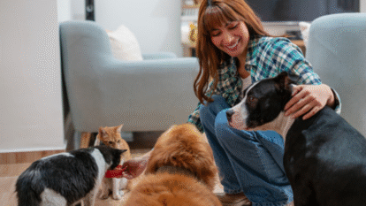 Mascotas apartamento