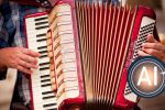 Mejor acordeonero