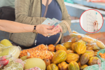 Personas haciendo mercado y marcado en un calendario (Foto vía Getty Images)