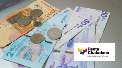 Renta Ciudadana