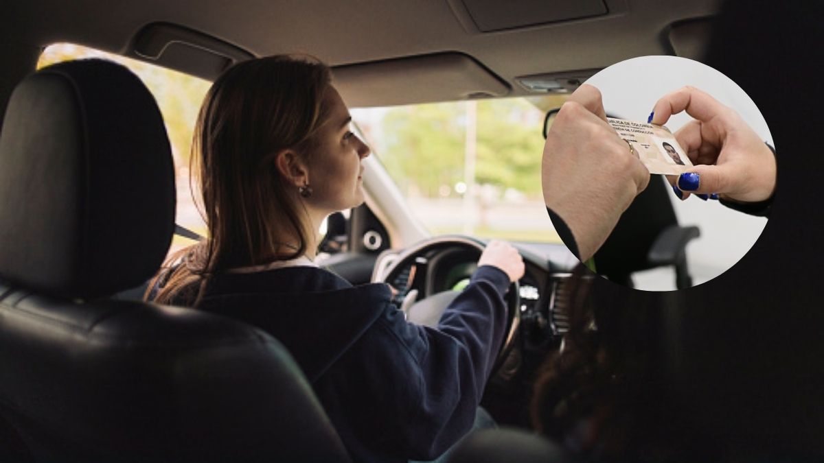 Licencias de conducción