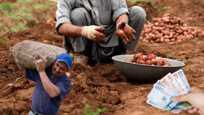 Papatón Bogotá/ Getty Images