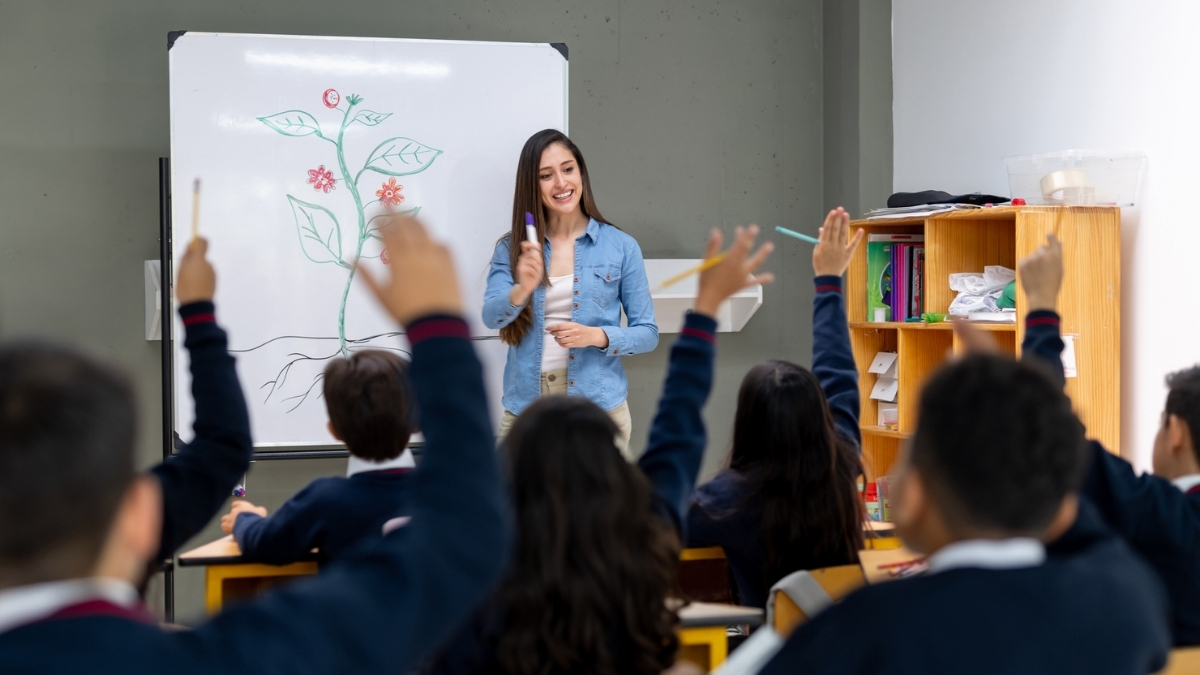Vacaciones colegios Medellín