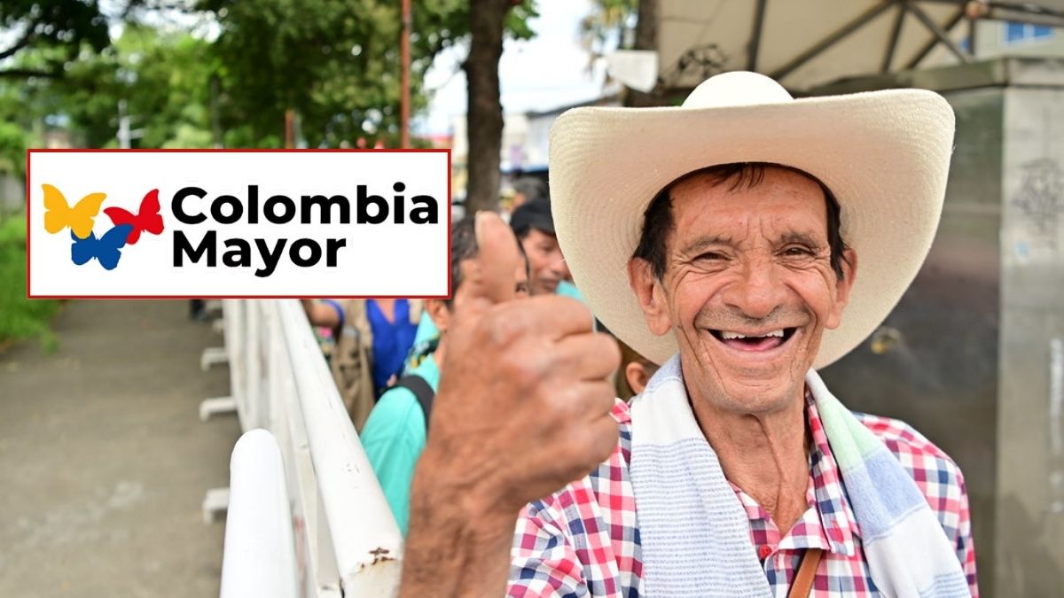 Ciclo 12 Colombia Mayor