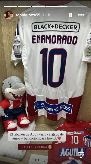 Novia José Enamorado