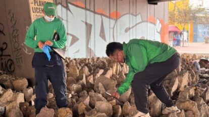 Puente Aranda restos