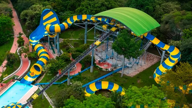 Piscilago precios 2026