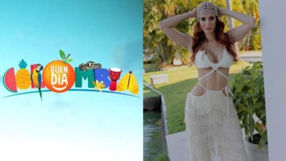 Violeta Bergonzi renuncia