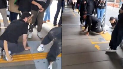 Therian TransMilenio