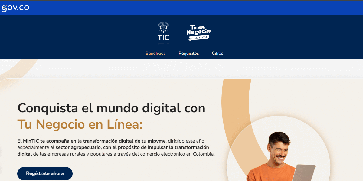 Tu Negocio en Línea