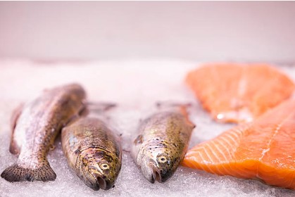 Comprar pescado en Colombia