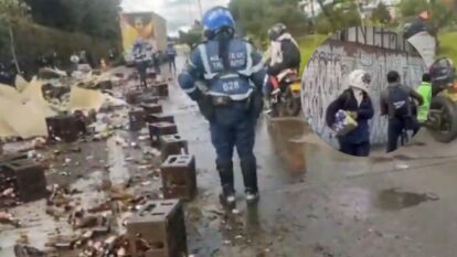 cervezas
