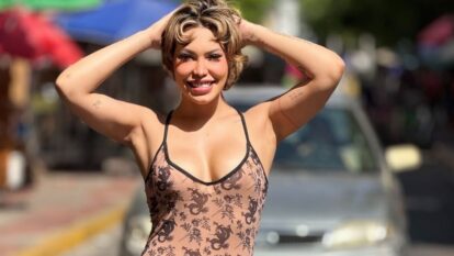 Ana del Castillo embarazo